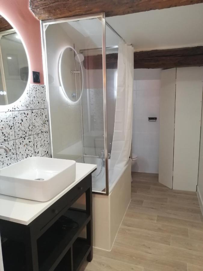 Apartament Le Studio D'Emma Romans-sur-Isère Zewnętrze zdjęcie